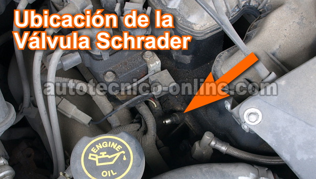 Cómo Probar La Bomba De Gasolina Paso A Paso (Ford 4.0L)
