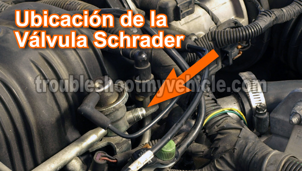 Cómo Probar La Bomba De Gasolina Paso A Paso (GM 3.8L)