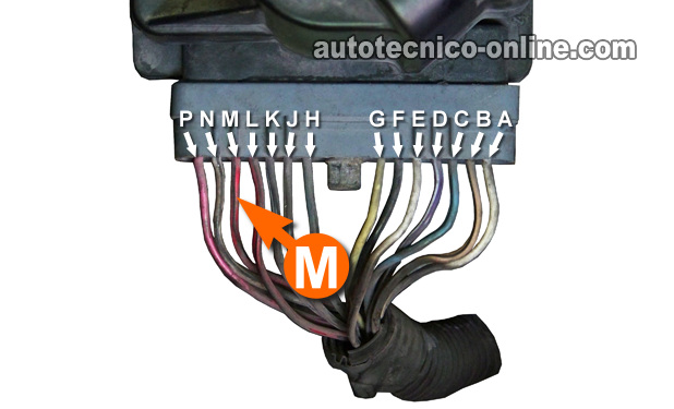 Cómo Probar El Sensor De La Posición Del Árbol De Levas (GM 3.8L)