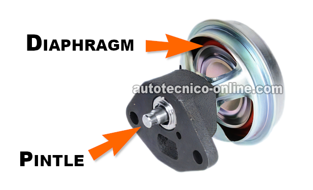 Aplicándole Vacío A La Válvula EGR. Cómo Probar La Válvula EGR (1988, 1989, 1990, 1991, 1992, 1993 2.8L Chevrolet S10 Pickup, GMC S15 Pickup, y GMC Sonoma)