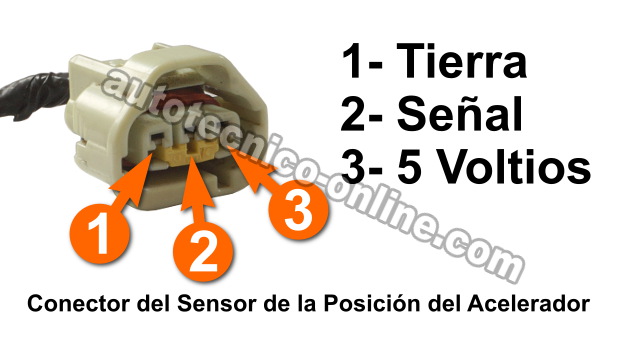 Verificando Alimentación De 5 Voltios y Tierra. Cómo Probar El Sensor TPS (1997-2001 4.0L Grand Cherokee). Verificando Códigos: P0121, P0122, P0123