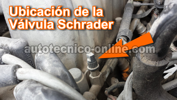 Usando Un Medidor De Presión De Combustible Para Probar La Bomba De Gasolina (Ford 4.9L, 5.0L, 5.8L)