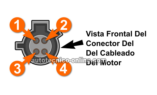 Verificando Alimentación De 12 Voltios Y Tierra. Cómo Probar El Calentador Del Sensor De Oxígeno Delantero P0135 (1995-1997 2.3L)
