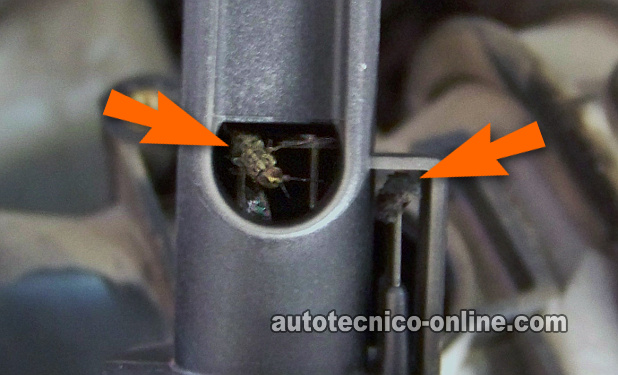Sensor MAF Sucio