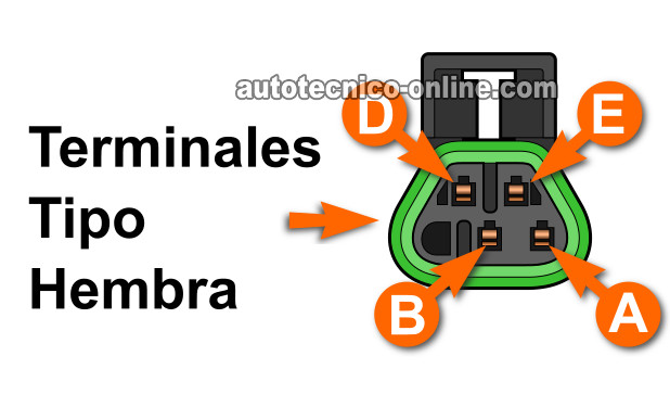 Cómo Probar El Código P0135 (3.5L GM)