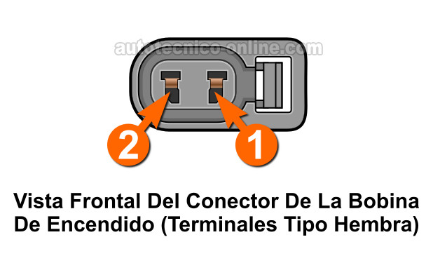 Front View Of The Ignition Coil Harness Connector. Cómo Probar El Módulo De Encendido (1995-1996 1.5L Toyota Tercel)