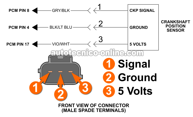 Los Circuitos Del Sensor De La Posición Del Cigüeñal. Cómo Probar El Sensor De La Posición Del Cigüeñal (1997, 1998, 1999 Dodge Dakota Y Durango)