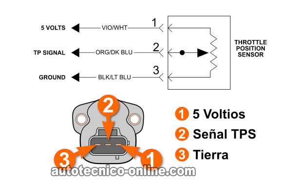 Cómo Probar El Sensor De La Posición Del Acelerador -Sensor TPS (1997, 1998, 1999 V8 Dakota, Durango)