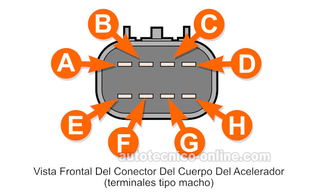 Identificando Las Terminales Del Cuerpo Del Acelerador Electrónico. Cómo Probar El Cuerpo Del Acelerador Electrónico (2002, 2003, 2004, 2005, 2006, 2007 4.2L Chevrolet TrailBlazer O 4.2L GMC Envoy)