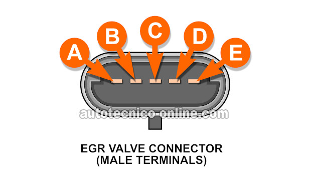 Circuitos Del Conector De La Válvula EGR. Cómo Probar La Válvula EGR (1996 2.2L Beretta, Corsica y 1996, 1997, 1998 2.2L Cavalier, Pontiac Sunfire)